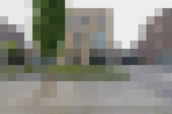 Bosrank 50 Assen thumbnail 39