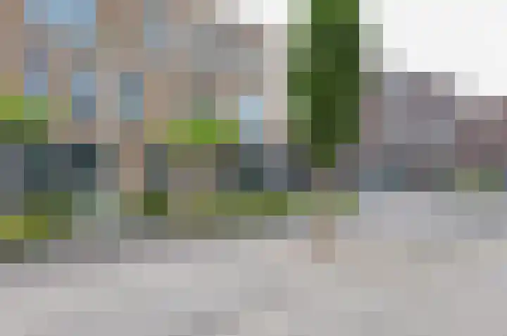 Bosrank 50 Assen thumbnail 40