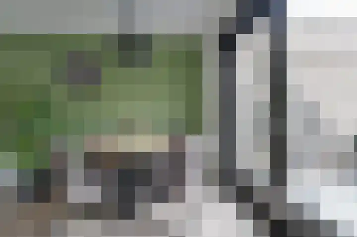 Bosrank 50 Assen thumbnail 9