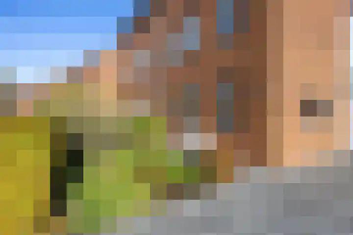 Bosrank 78 Assen thumbnail 12