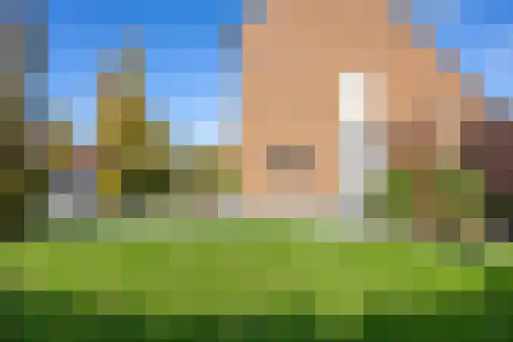 Bosrank 78 Assen thumbnail 16