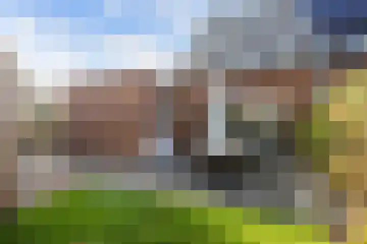 Bosrank 78 Assen thumbnail 59
