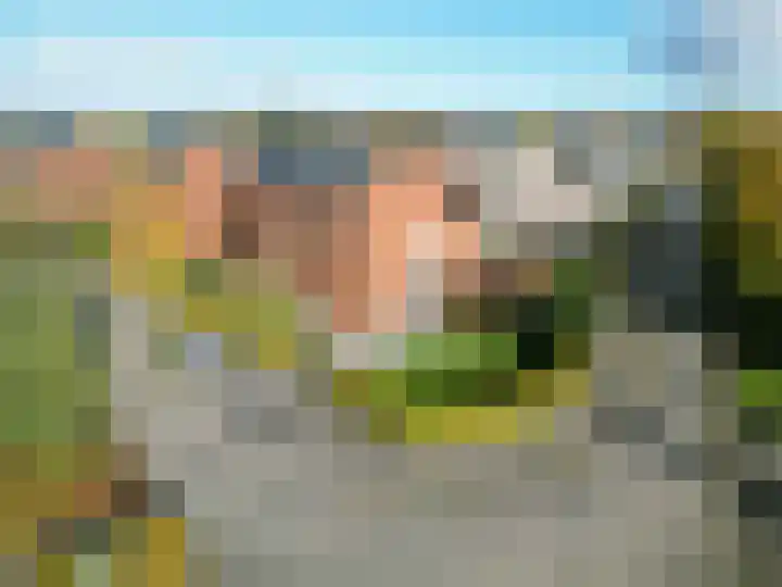 Bosrank 78 Assen thumbnail 61