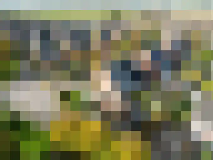 Bosrank 78 Assen thumbnail 7