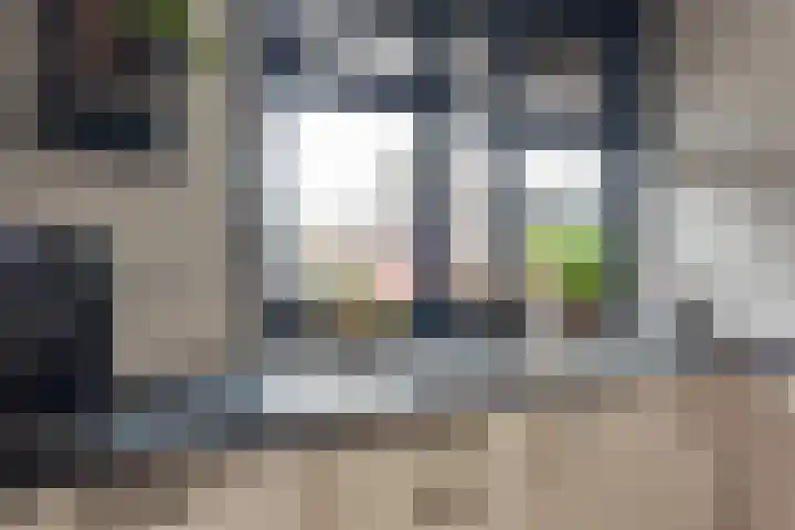 Bosroos 4 Assen thumbnail 10