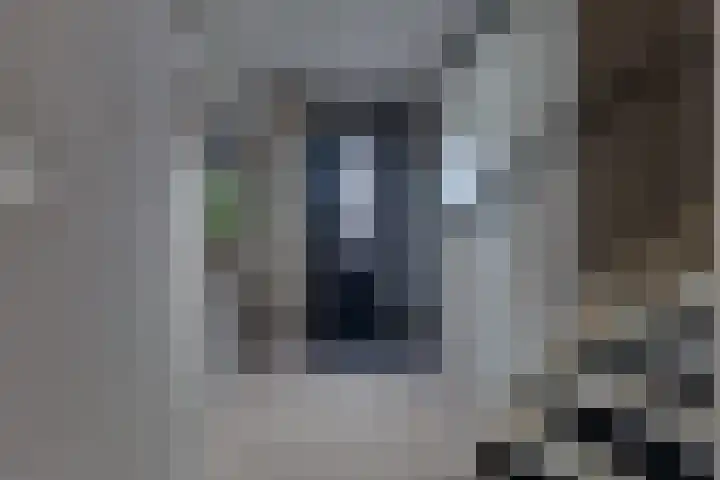 Bosroos 4 Assen thumbnail 12