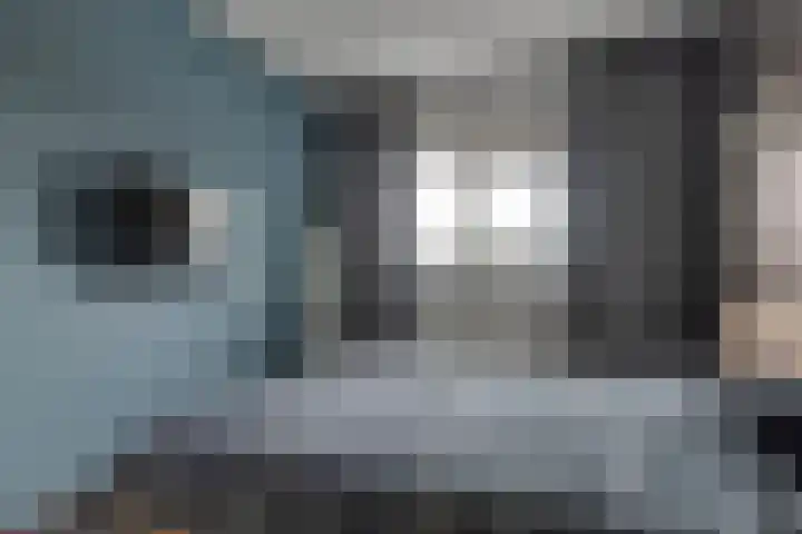 Bosroos 4 Assen thumbnail 15