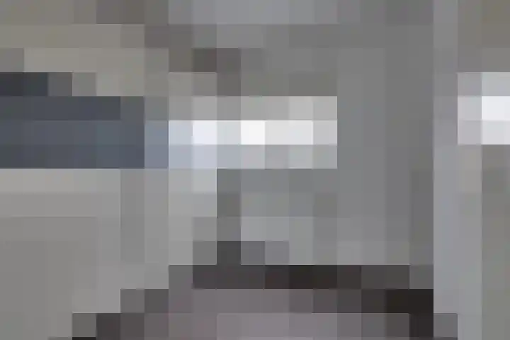 Bosroos 4 Assen thumbnail 16