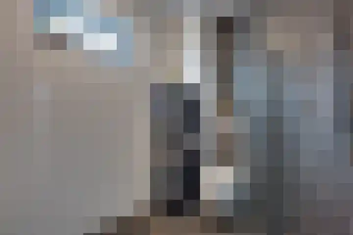 Bosroos 4 Assen thumbnail 20