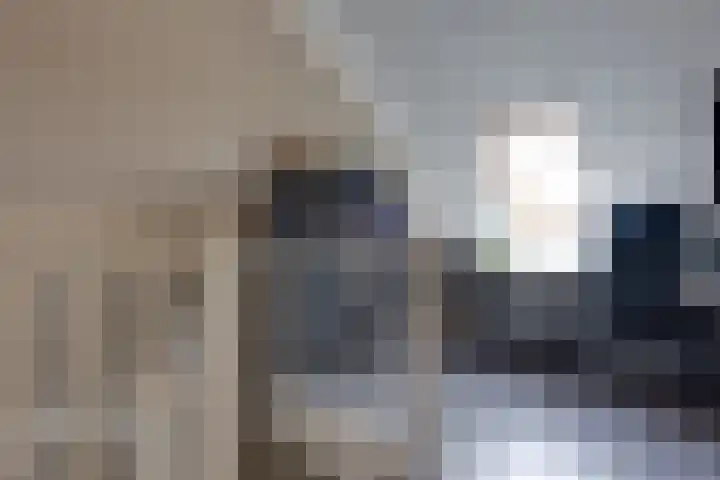 Bosroos 4 Assen thumbnail 21
