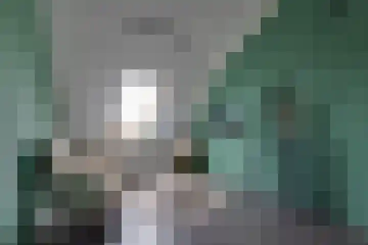 Bosroos 4 Assen thumbnail 24