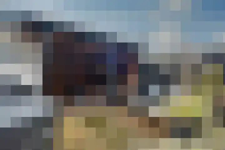 Bosroos 4 Assen thumbnail 28