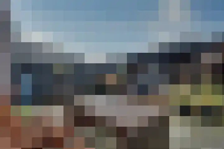 Bosroos 4 Assen thumbnail 30