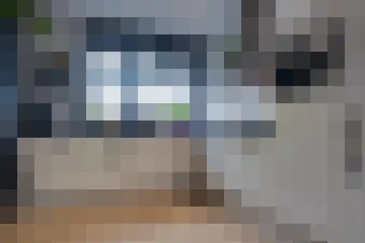 Bosroos 4 Assen thumbnail 9
