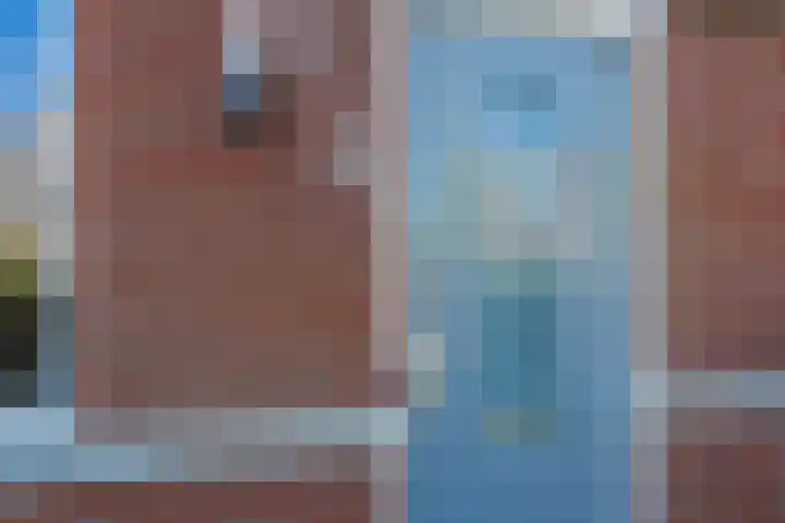 Bosroos 6 Assen thumbnail 10