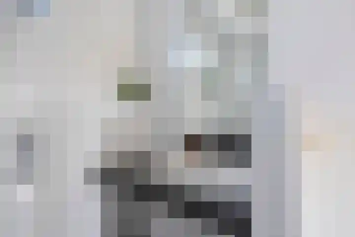 Bosroos 6 Assen thumbnail 23