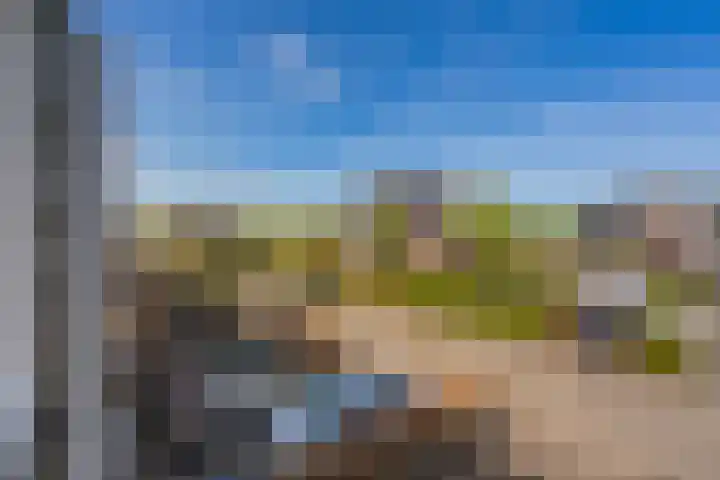 Bosroos 6 Assen thumbnail 28