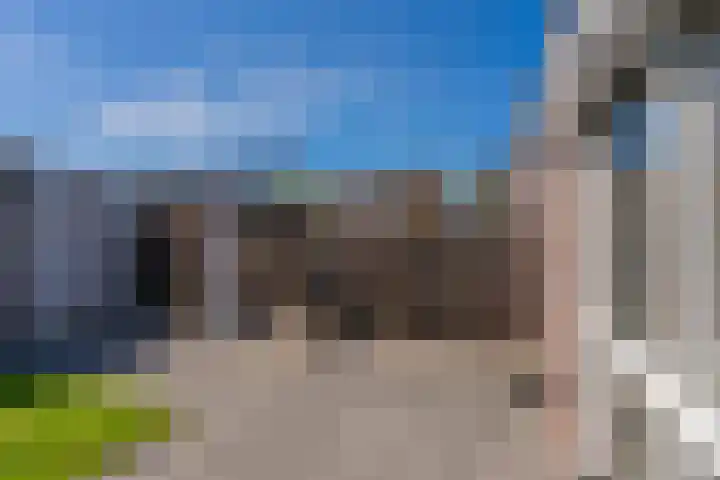 Bosroos 6 Assen thumbnail 38