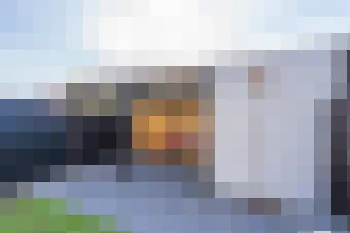 Bosroos 6 Assen thumbnail 41