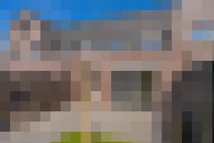 Bosroos 6 Assen thumbnail 44