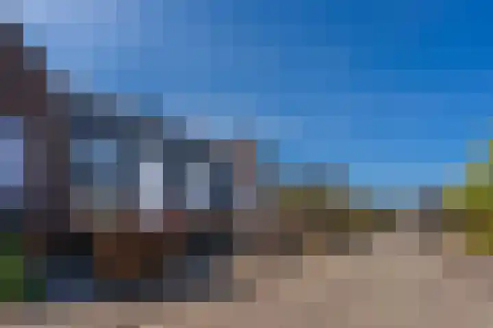 Bosroos 6 Assen thumbnail 8