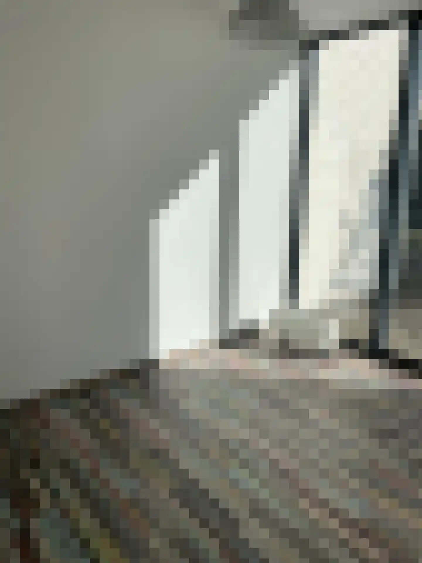 Bosruiter 24 Eindhoven thumbnail 6