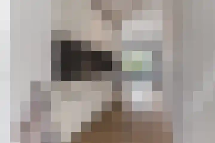 Bosruiter 52 Eindhoven thumbnail 12