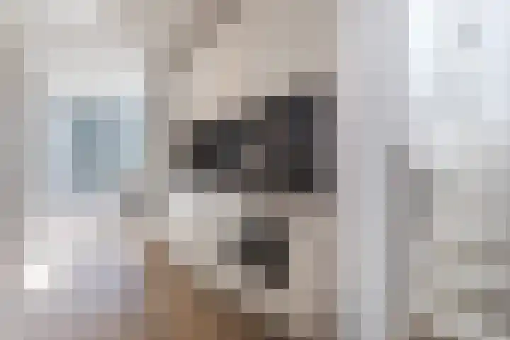 Bosruiter 52 Eindhoven thumbnail 13