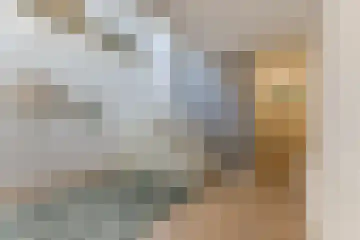 Bosruiter 52 Eindhoven thumbnail 19