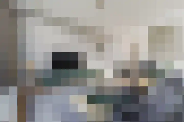 Bosruiter 52 Eindhoven thumbnail 4