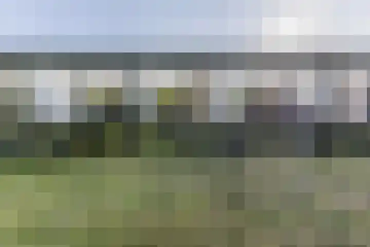 Bosruiter 52 Eindhoven thumbnail 43