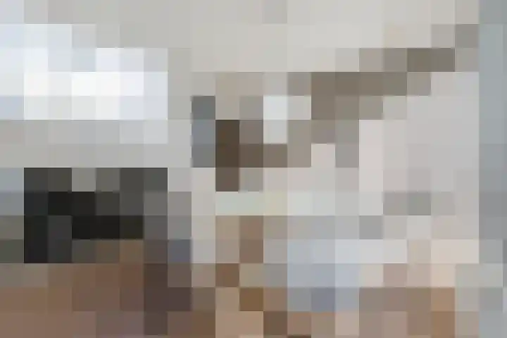 Bosruiter 52 Eindhoven thumbnail 9