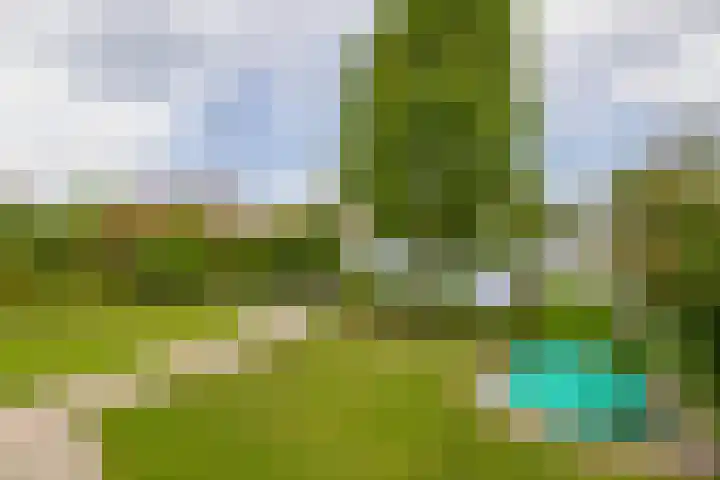 Bosruiter 7 Lemmer thumbnail 17