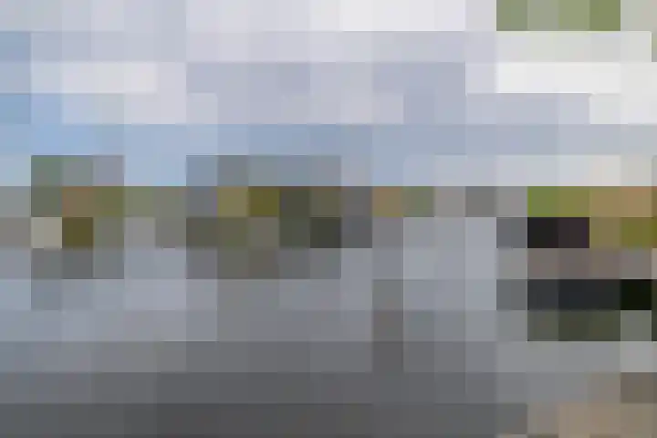Bosruiter 7 Lemmer thumbnail 18