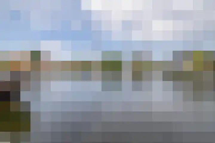 Bosruiter 7 Lemmer thumbnail 19