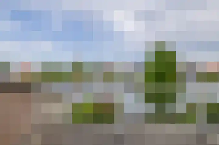 Bosruiter 7 Lemmer thumbnail 23