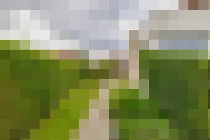 Bosruiter 7 Lemmer thumbnail 32