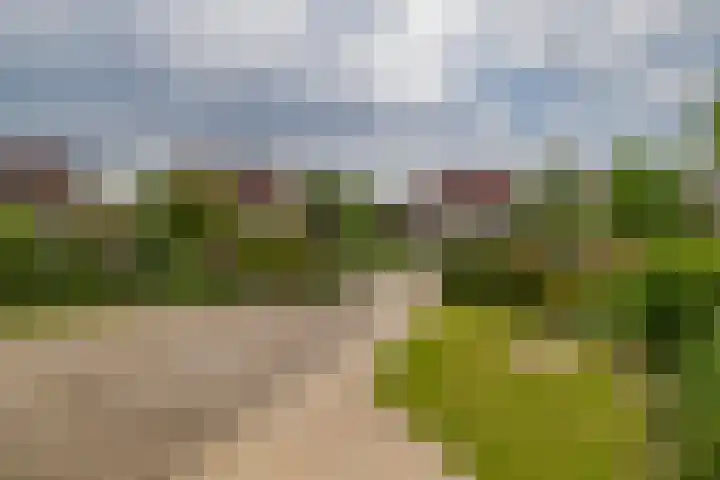 Bosruiter 7 Lemmer thumbnail 35