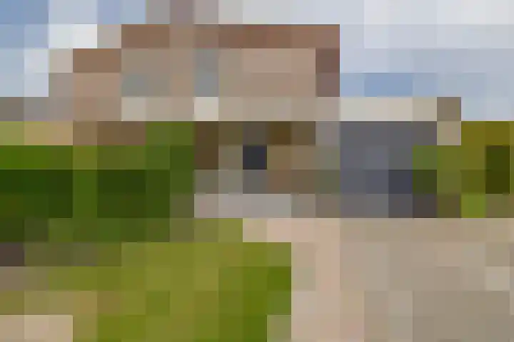 Bosruiter 7 Lemmer thumbnail 4