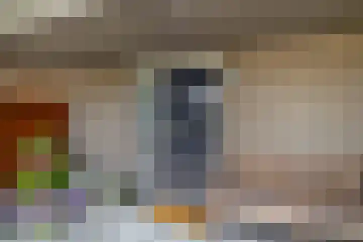 Bosruiter 7 Lemmer thumbnail 5