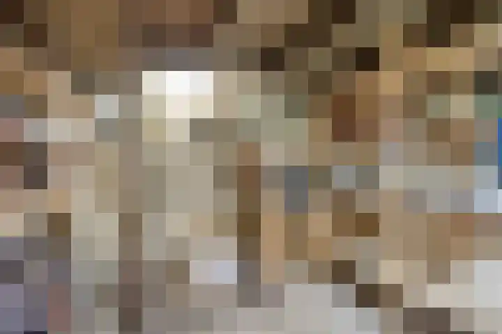 Bosschebaan 17 Velp thumbnail 16