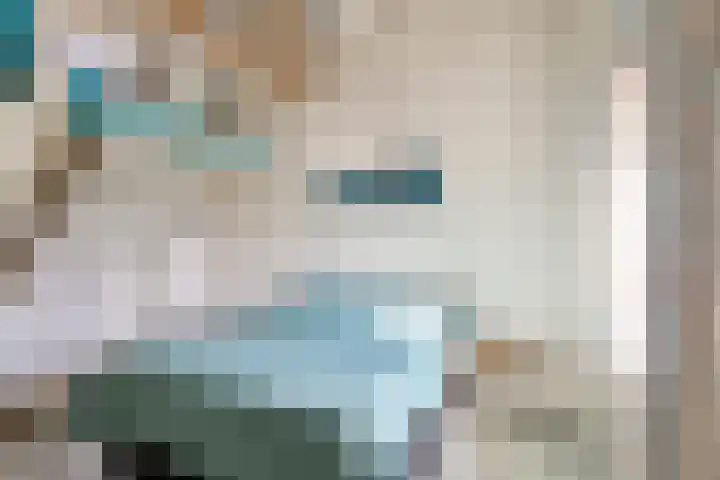 Bosschebaan 17 Velp thumbnail 18