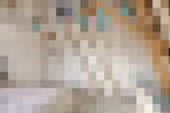Bosschebaan 17 Velp thumbnail 24