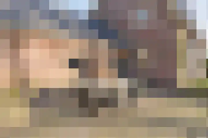 Bosschebaan 17 Velp thumbnail 30