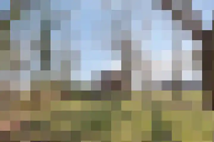 Bosschebaan 17 Velp thumbnail 44
