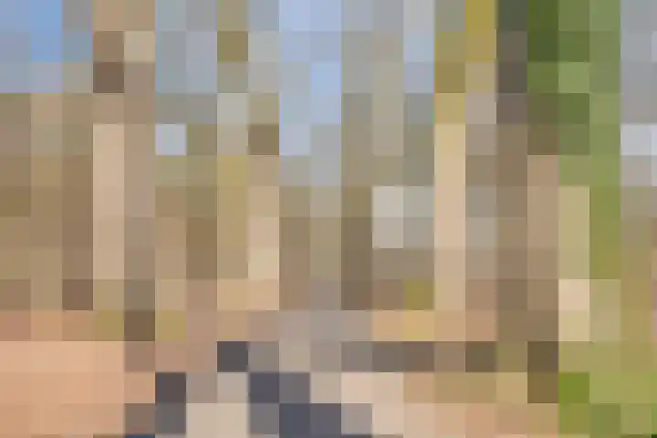 Bosschebaan 17 Velp thumbnail 51