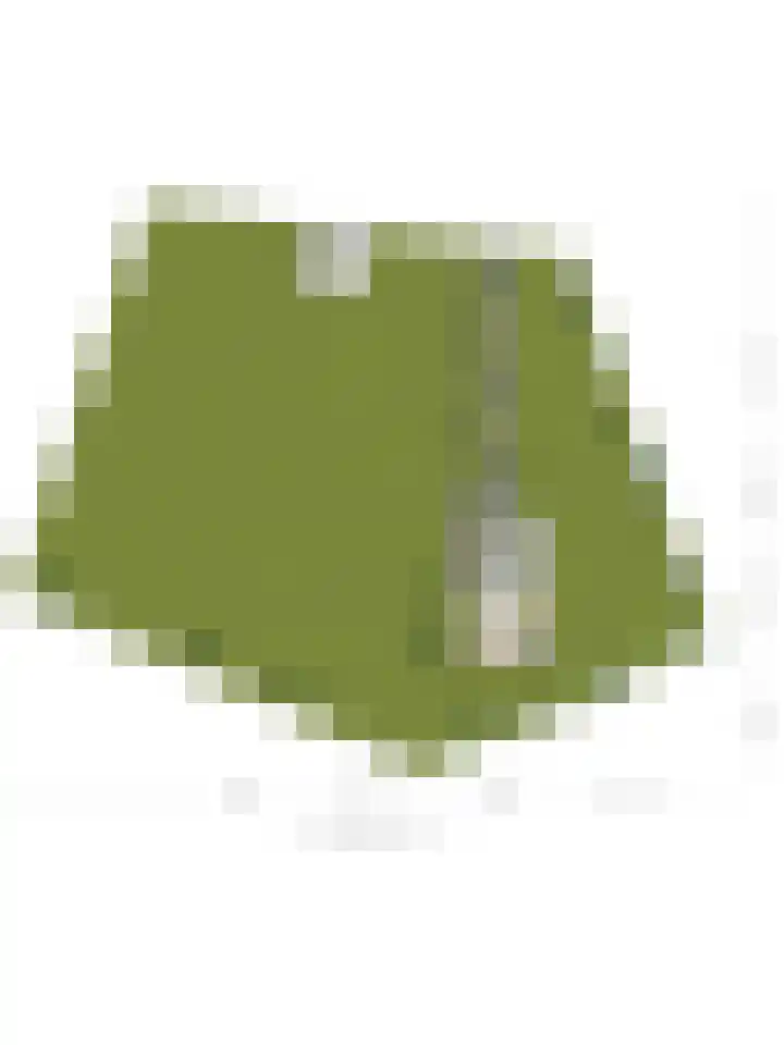 Bosschebaan 17 Velp thumbnail 52