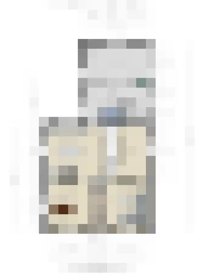 Bosschebaan 17 Velp thumbnail 53