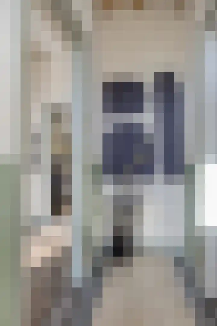Bosschebaan 17 Velp thumbnail 6