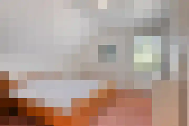 Bosschebaan 20 Heesch thumbnail 23